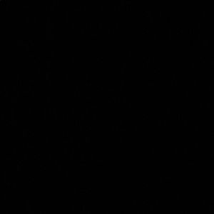 Meet your Posher, Ella